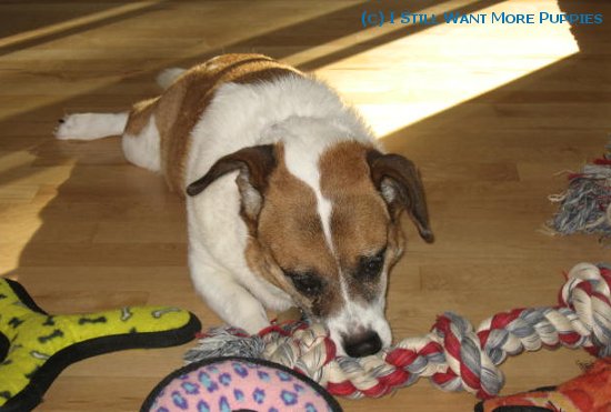 Ropeaholic