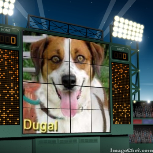 Dugal Super Dog Sunday