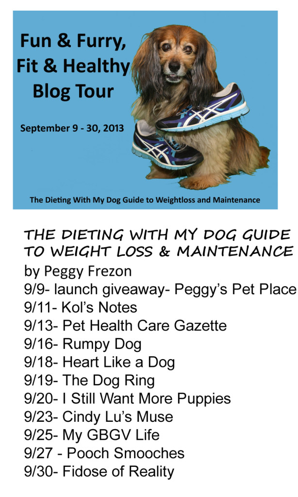 dwmdg book tour schedule copy