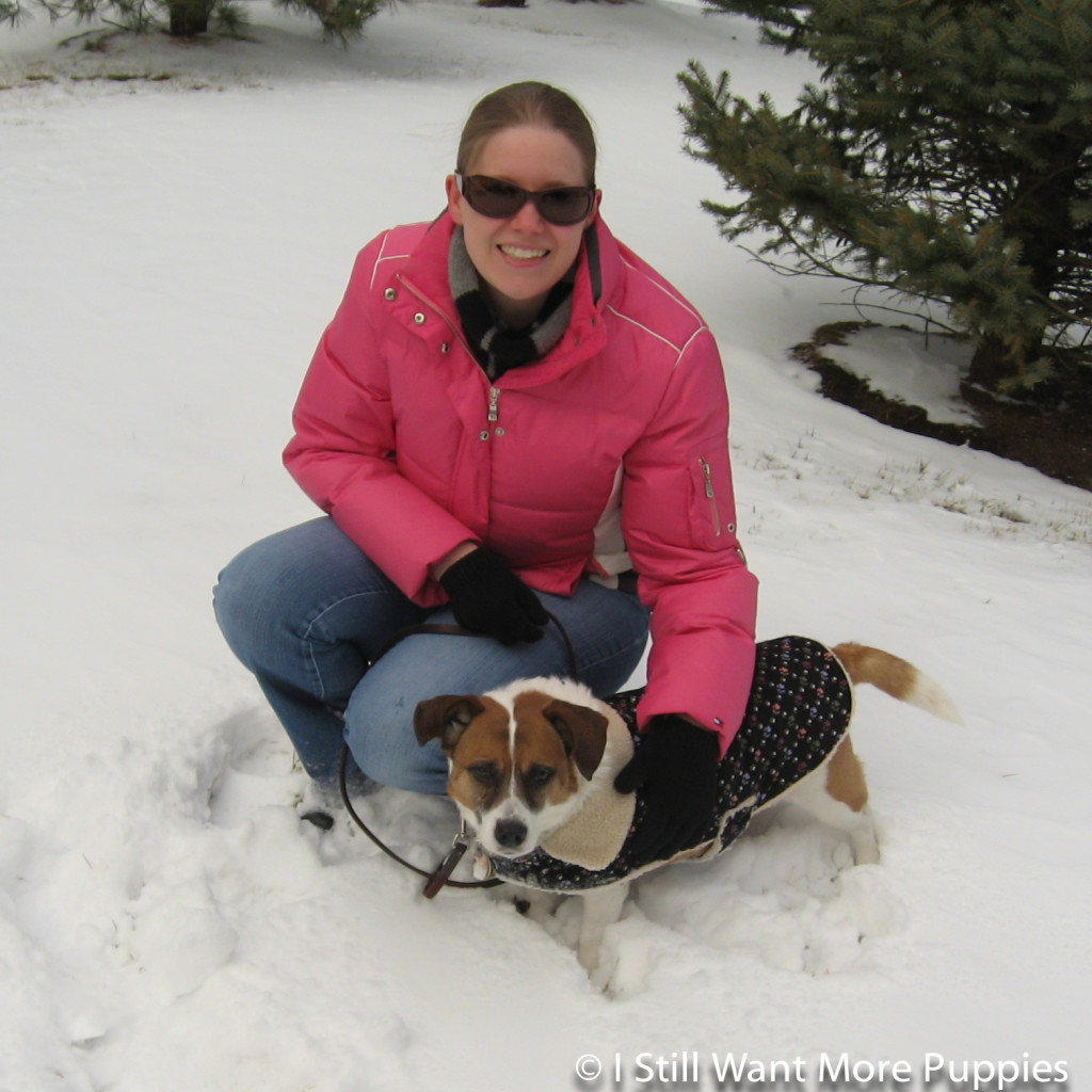 Bella snow day via wantmorepuppies.com